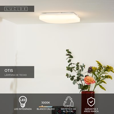 Lucide OTIS - Lámpara de techo - LED - 1x20W 3000K - Ópalo